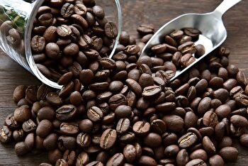 個性豊かなコーヒーの世界 それは、ひと粒の果実からのイメージ画像